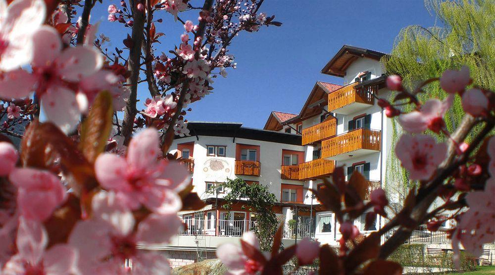La Montanina In Val Di Non Malosco